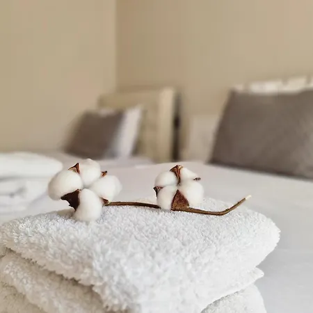 Semesterbostad Hana's *